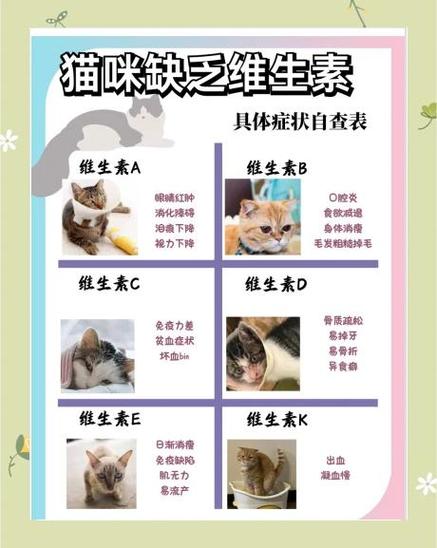 猫咪突然不活泼了
