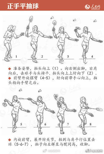 羽毛球步法教学图标