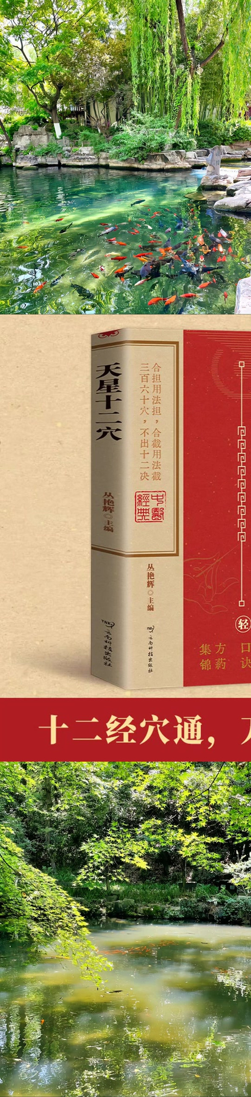 正版书图标