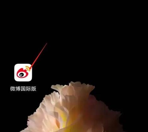 微博国际版怎么开青少年图标