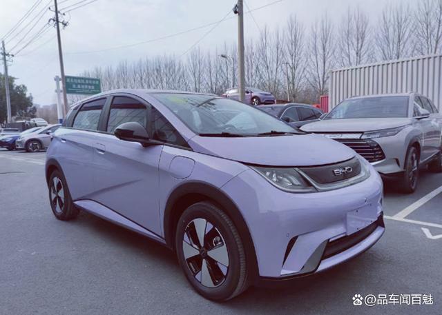 海豚3.0图标