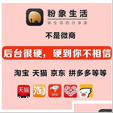 粉象生活打卡赚钱