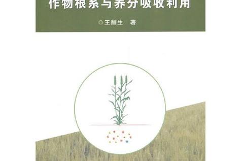 过磷酸钙可以和菜饼混施吗