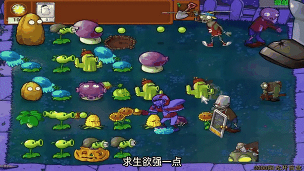 1个盲盒vs僵王