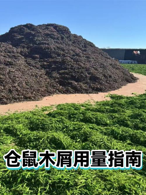 仓鼠用碎木屑代替木屑的方法