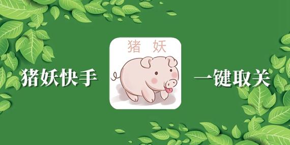 猪妖快手点赞永久vip版