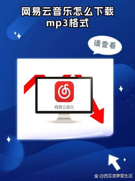 网易云离线音乐怎么听图标