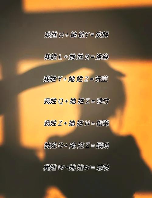 h2什么意思网络用语女生图标