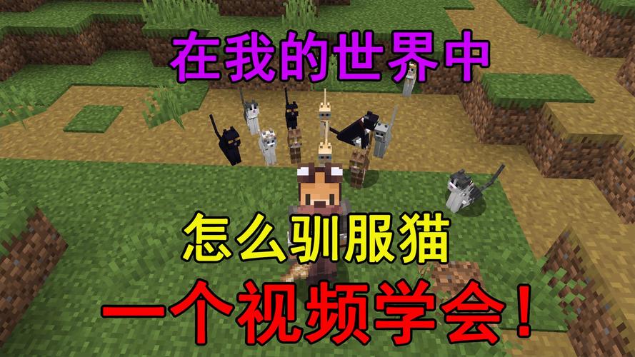 怎么在我的世界驯服猫咪图标