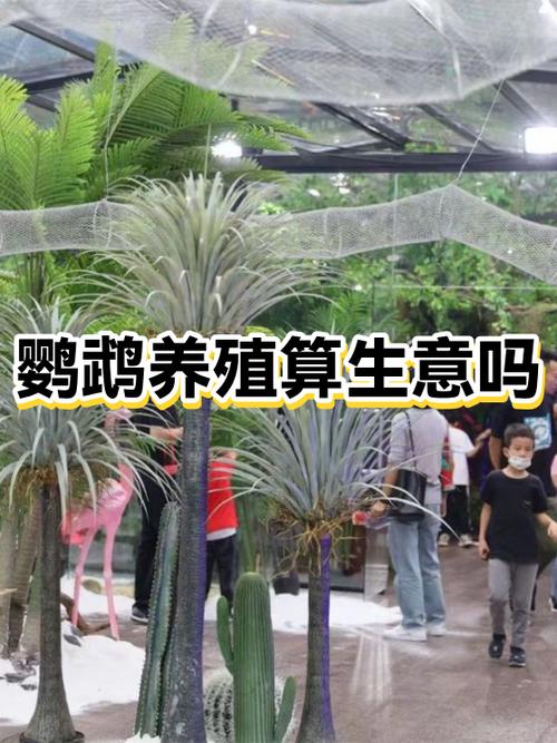养鹦鹉赚钱吗利润大不大