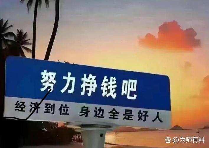 我太南了赚钱版