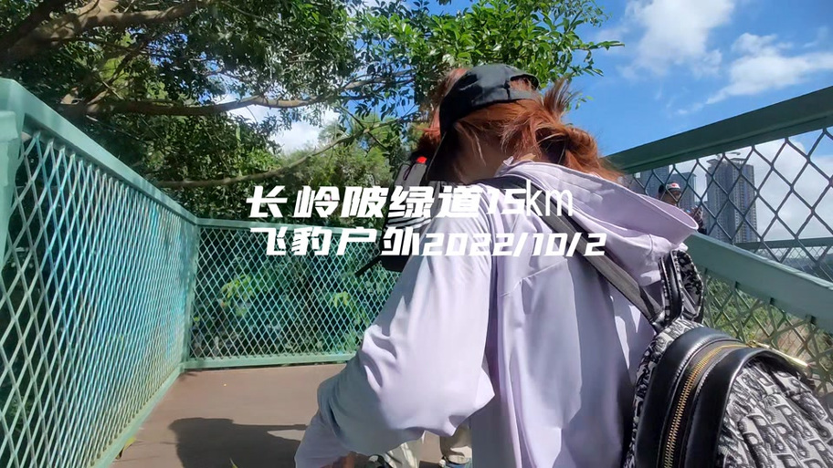 深圳市飞豹互娱科技有限公司图标