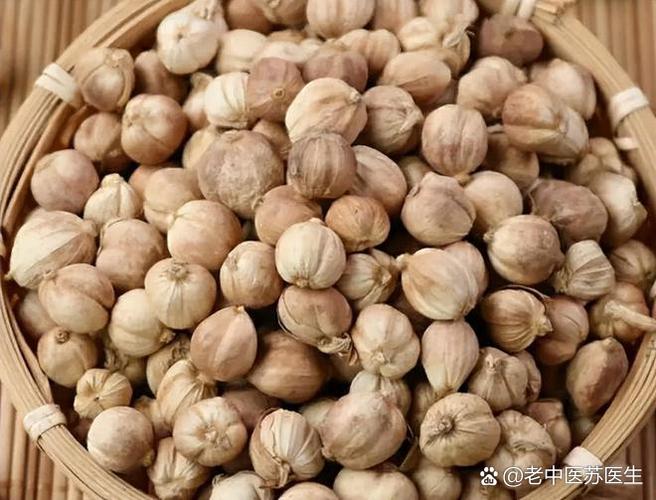 豆蔻是什么样子的