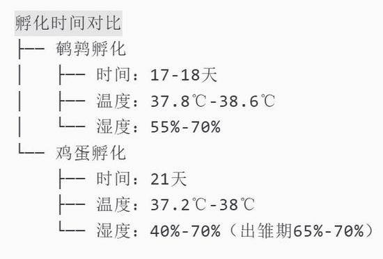 孵化小鸡需要多少天图标