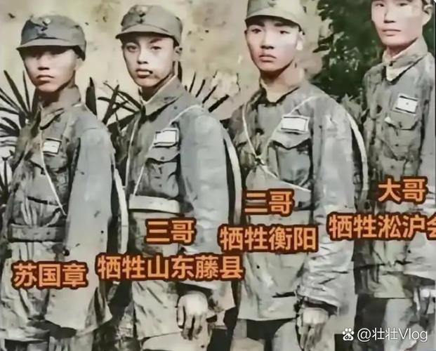 苏家四兄弟共一妻的小说
