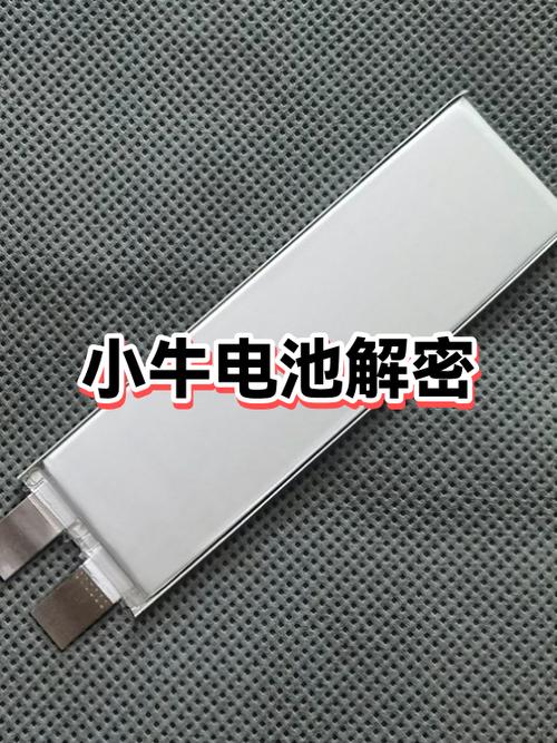 小牛电池循环500次能买吗