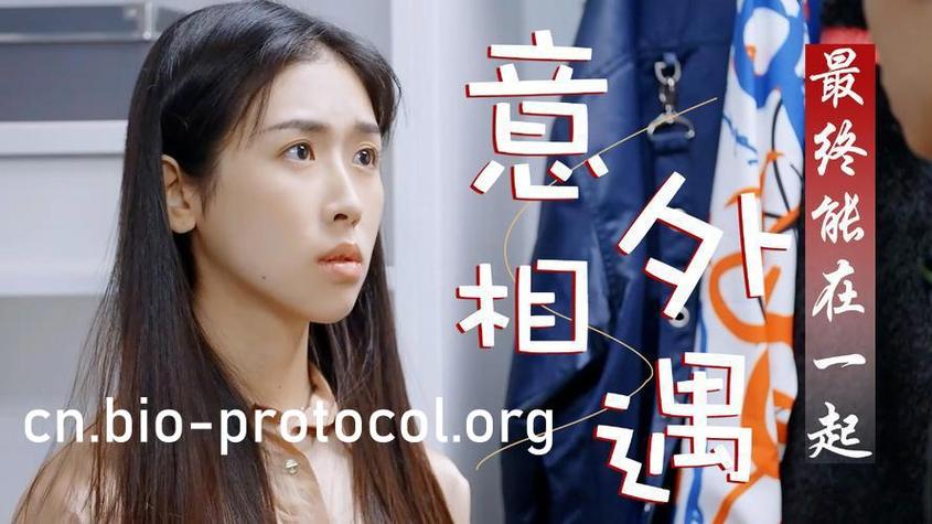 花蝴蝶免费高清电视剧观看全集电视