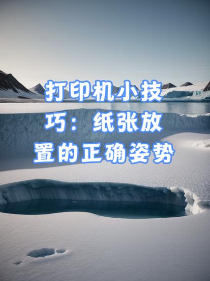 办公室打印机怎么放纸