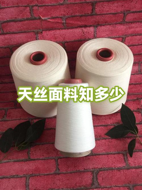 露西丝和天丝哪个好