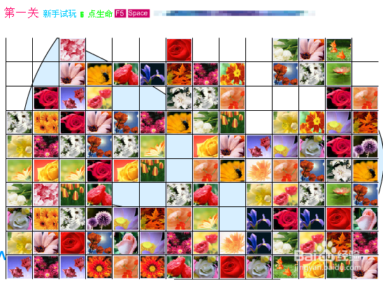 花儿连连看免费下载图标