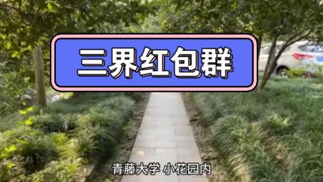 三界红包群里