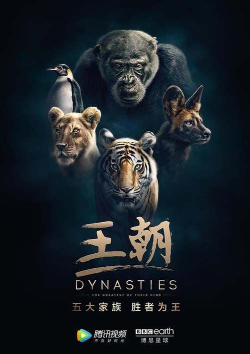 纪录片王朝国语版在线图标