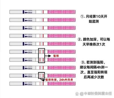 lh值是什么