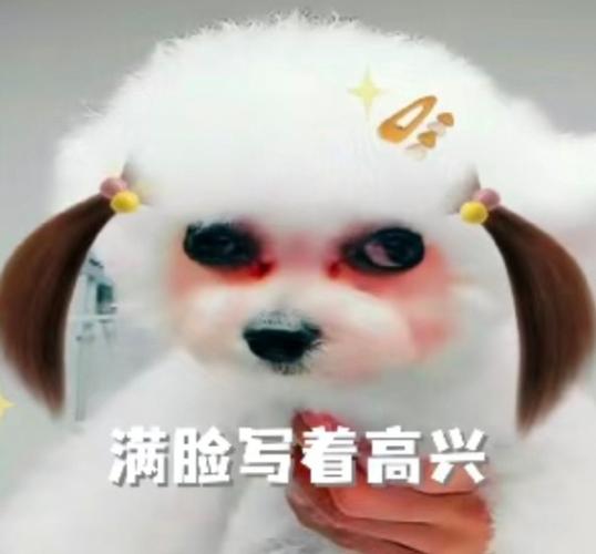 真棒表情包图片