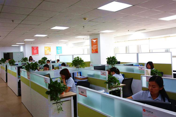盛银消费金融有限公司图标