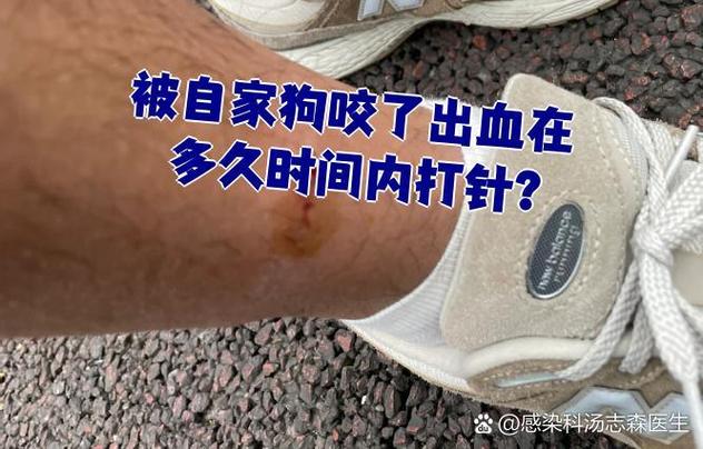 狗咬了红印没有破损怎么办