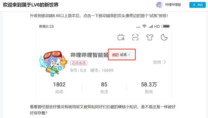b站弹幕等级怎么设置