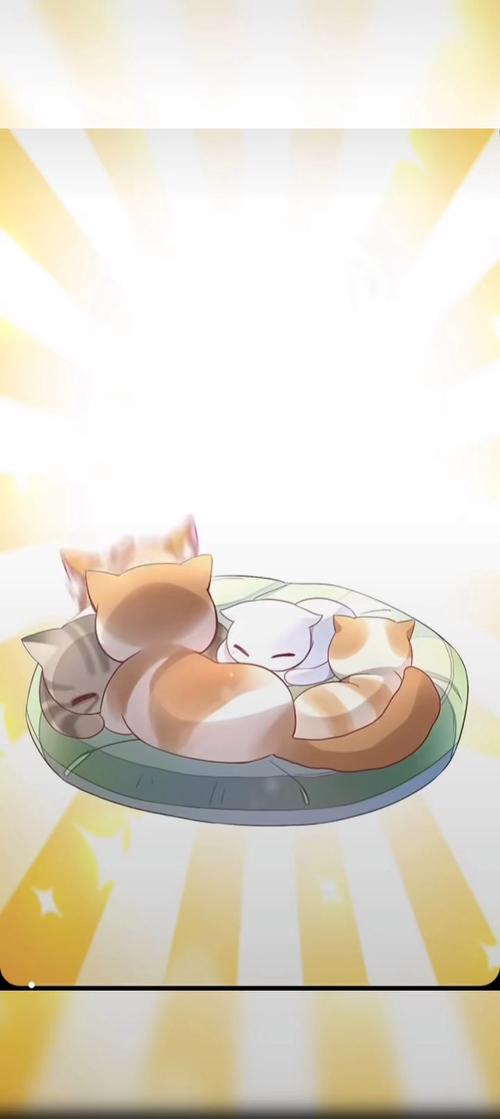 猫爪之下漫画免费阅读