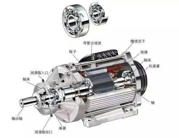 交流电机结构图解