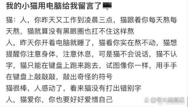 我的小猫赚钱靠谱吗