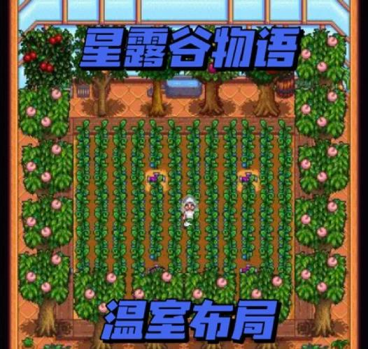 星露谷温室果树布局