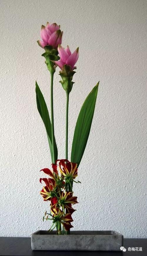 花艺插花图标