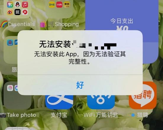 苹果手机数据传输后软件无法安装图标