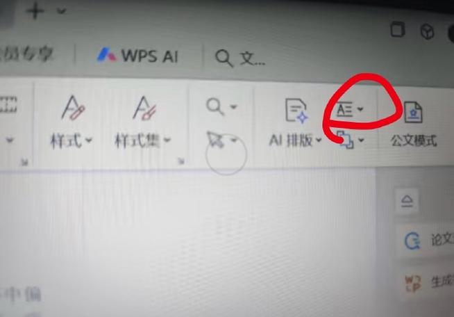 wps按空格键不后退图标