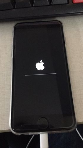 iphone开机进度条不动