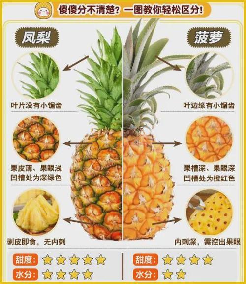 凤梨和菠萝一样吗?有什么区别