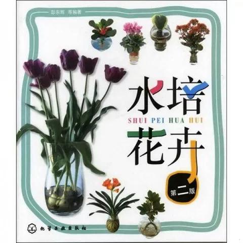 水培植物叶子发黄怎么办