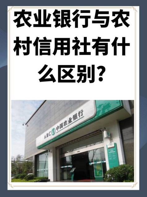 农信卡账号不存在 怎么恢复图标