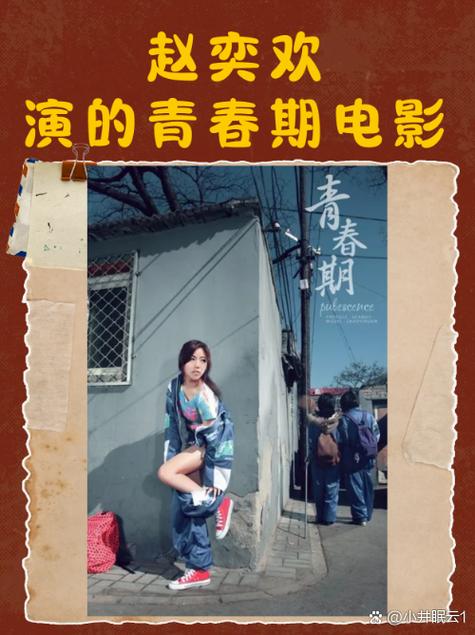 赵奕欢贡献最大的一部电影