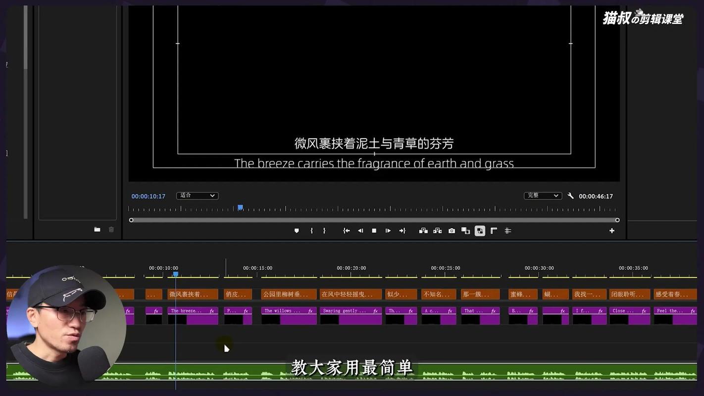 爱奇艺怎么调出英文字幕图标