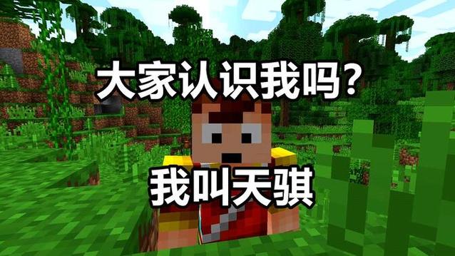 我的世界天骐求生之路全集2