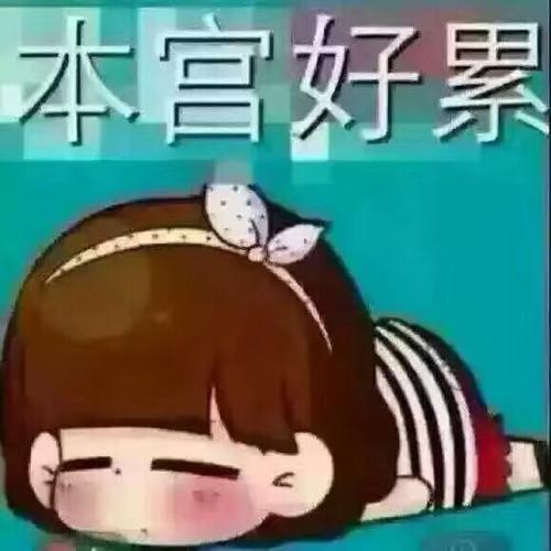 本宫好累的幽默图片