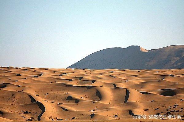 迪拜 沙特阿拉伯