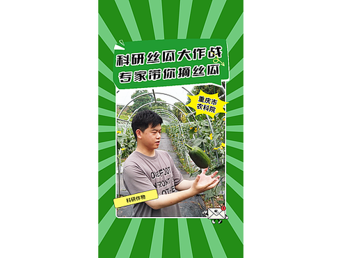 丝瓜短视频