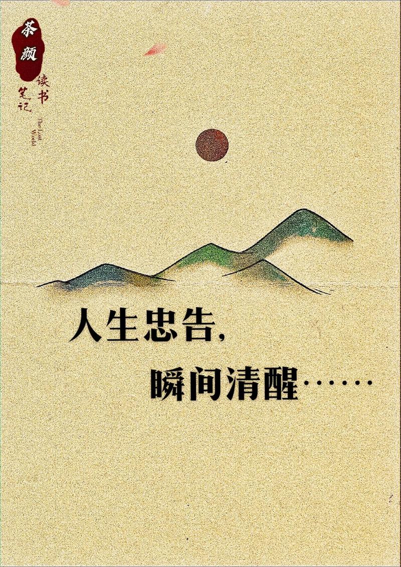 买vidda十大忠告图标