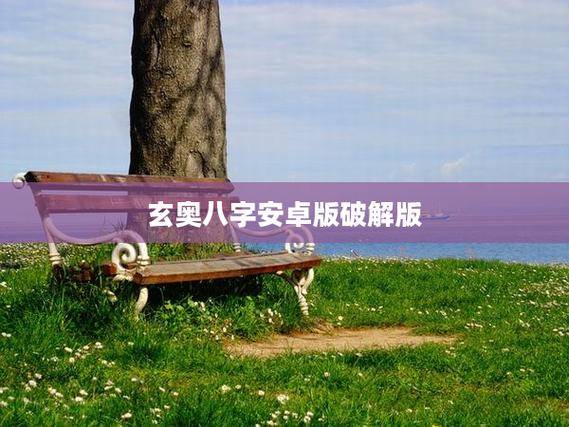 玄奥八字免费版